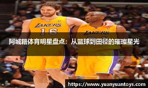 阿城籍体育明星盘点：从篮球到田径的璀璨星光
